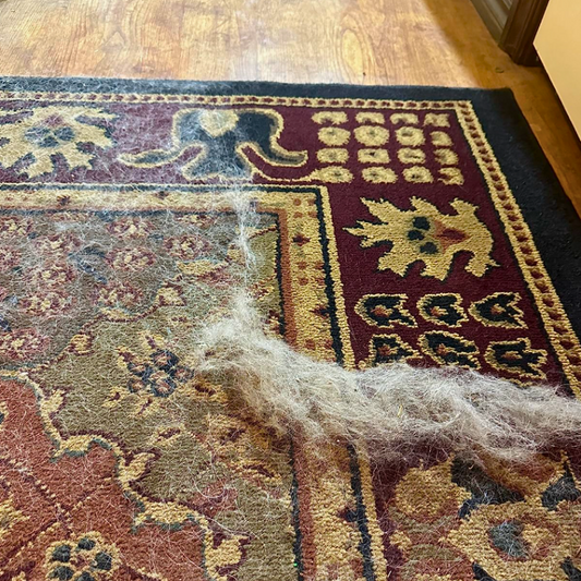 Éliminateur de poils d'animaux